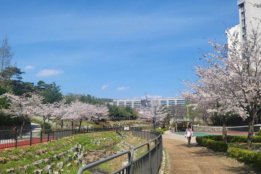 혼자여도 안심! 교통짱