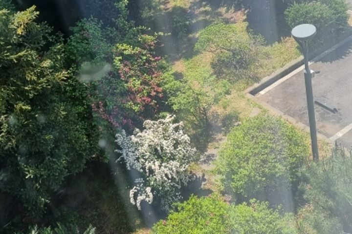 1.5룸 이국적인풍경 3번째 이미지