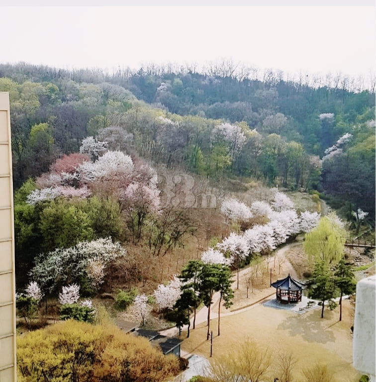 5 mins to station ❗ Chang-dong/Nokcheon ‼️ Fu 18th image