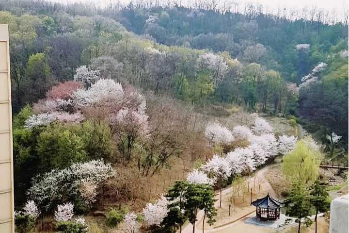 역5분❗창동녹천‼️풀옵 18번째 이미지