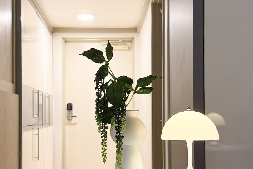 수내역🌱수서🍊분당