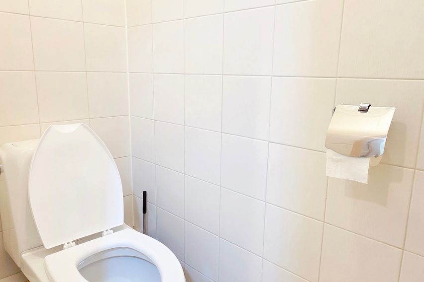 이대,신촌,서강대 특가