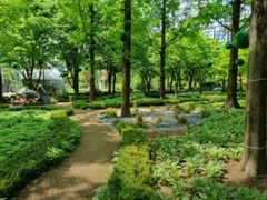 오픈 초역세권 풀하우스 18번째 이미지
