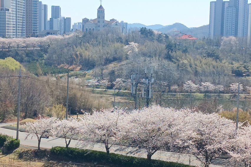 나운동가성비쓰리룸 4번째 이미지