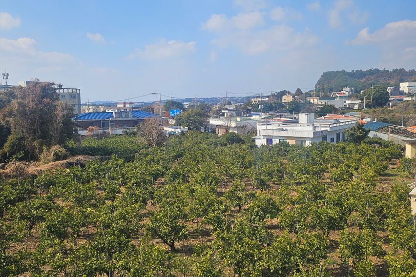 햇살이 따스한방 13번째 이미지