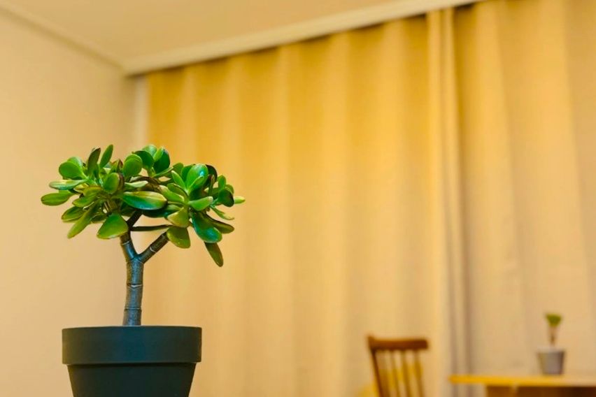 안락한 용산2룸 역세권 0번째 이미지