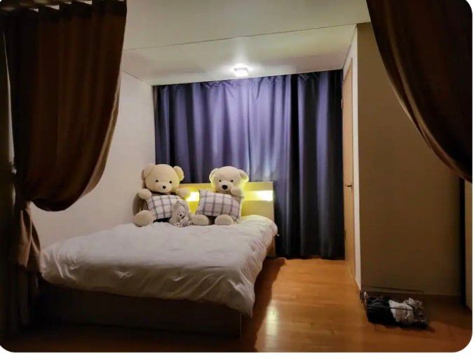 벚꽃양재카페공원 바로앞 8번째 이미지