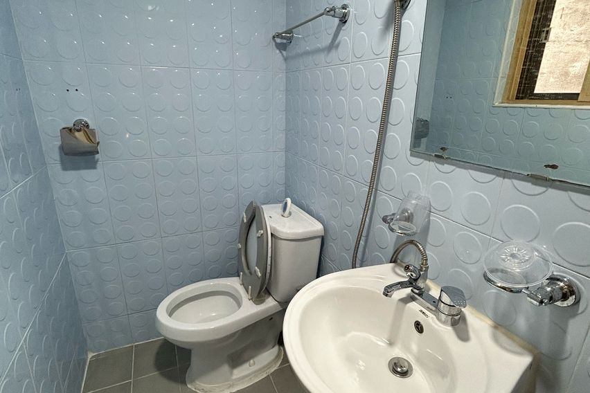 오드 스탠다드 201