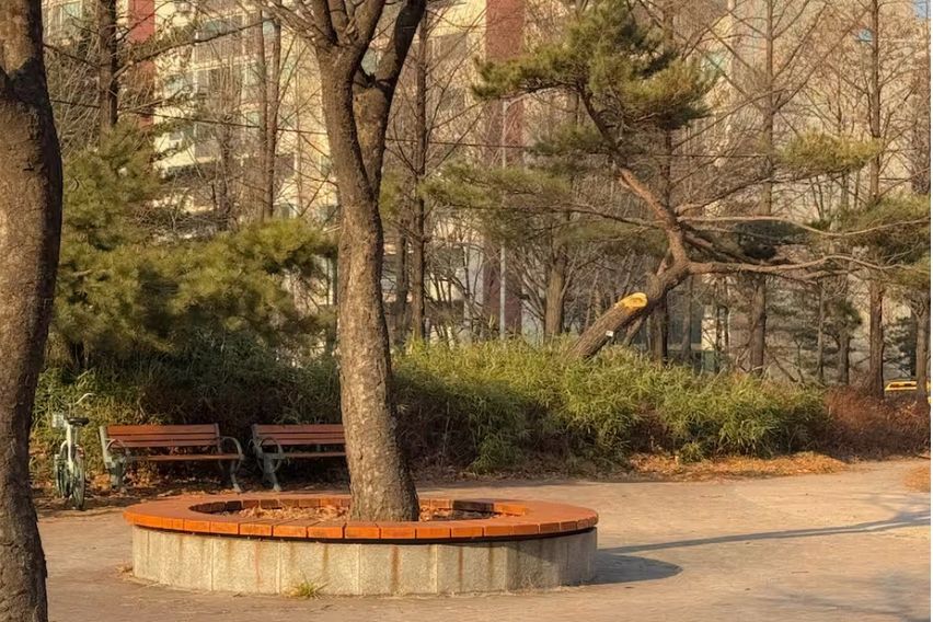 공원 품은 송파구APT 17번째 이미지