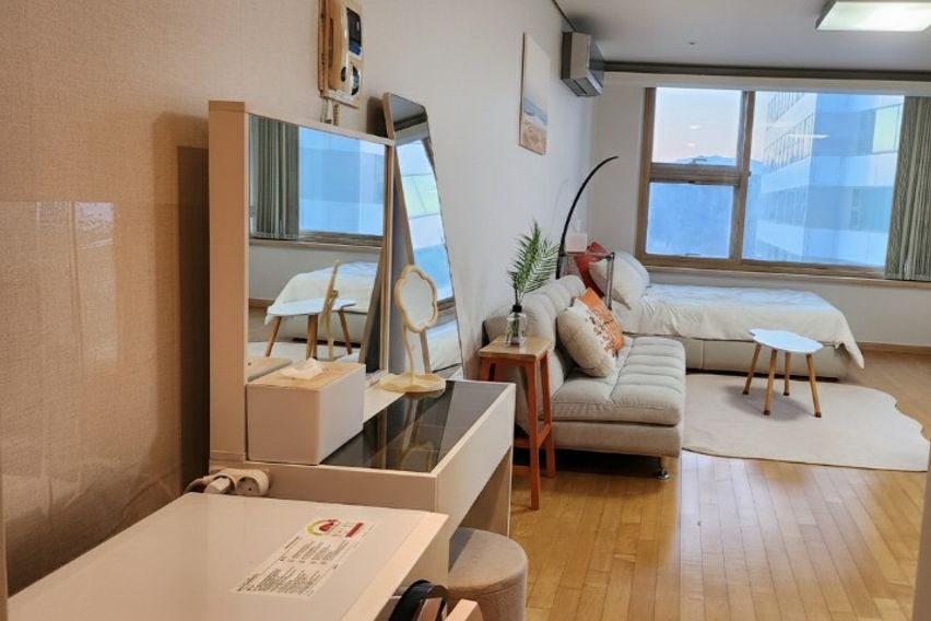 🤎정자/판교(건조기)