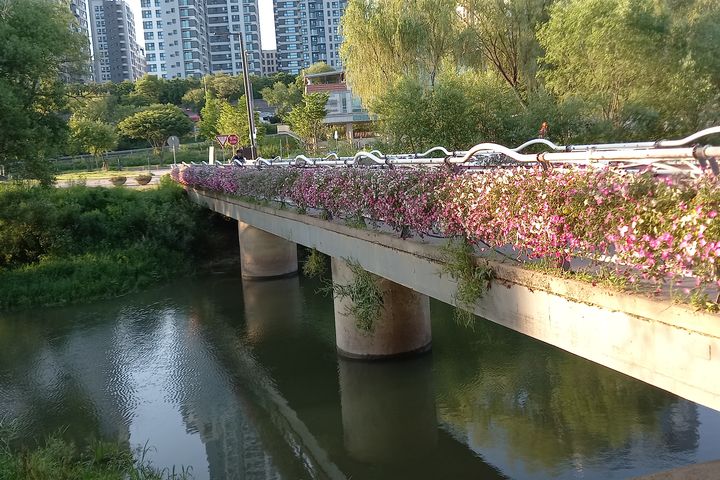 단독 2번째 이미지