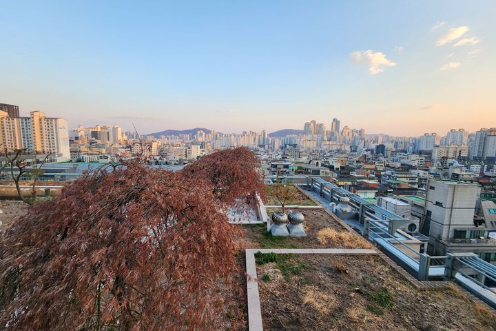 선릉역 대치동 투룸 14번째 이미지