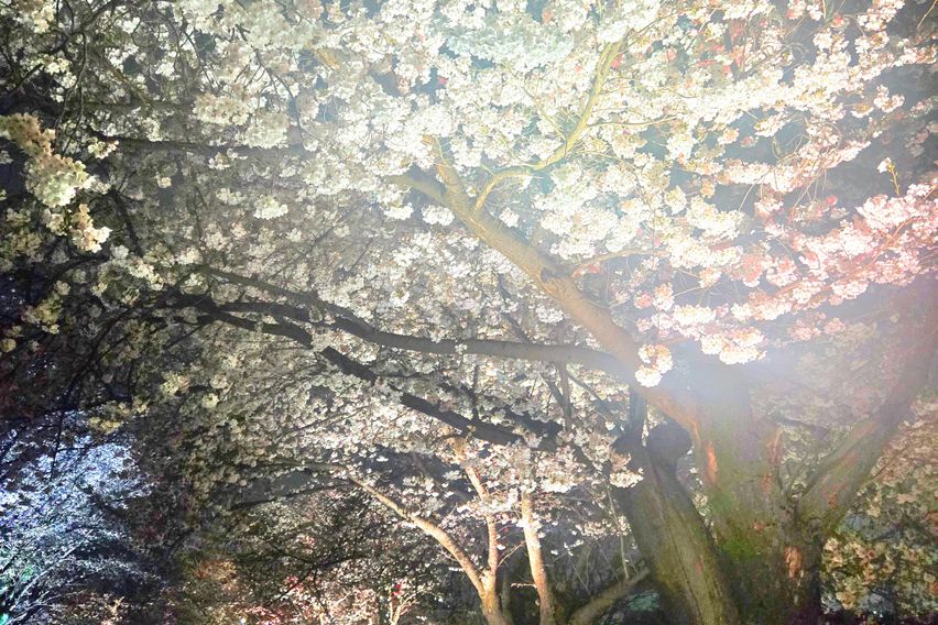 오픈특가💙깔끔복층N8 19번째 이미지