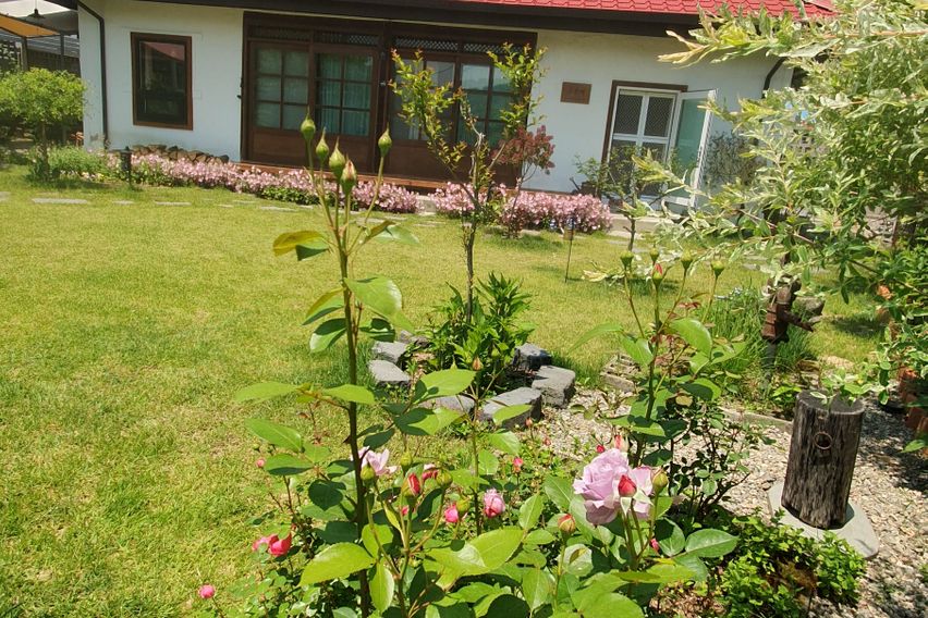 고운채안에 고운향