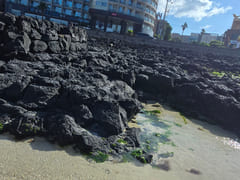 Hamdeok Beach Healing Stay 15th image