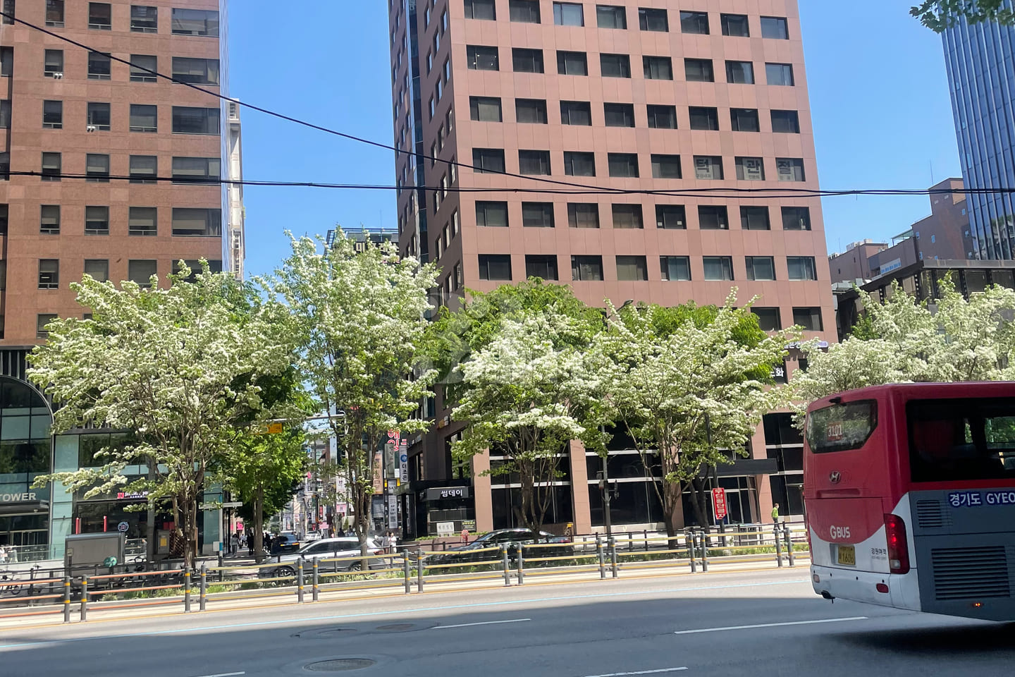12 pyeong, right in front of Gangnam Station  13th image