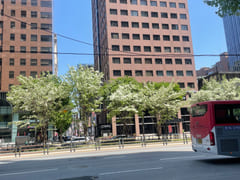 12 pyeong, right in front of Gangnam Station 13th image