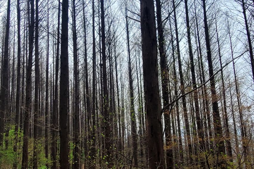 ㅁㅇ 5번째 이미지