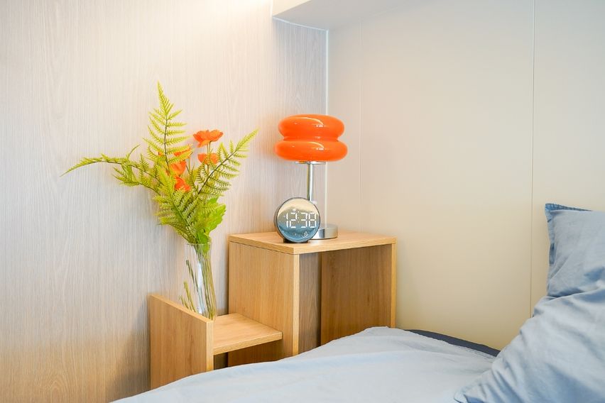 미금/정자🐕댕냥이OK