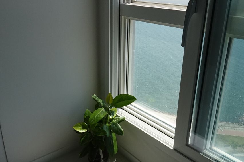 인기많은바다넷플릭스