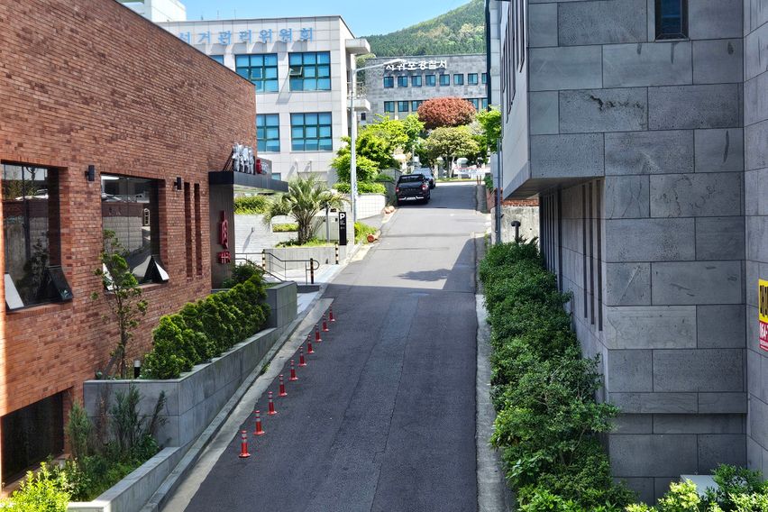 서귀포 신시가지 윙스