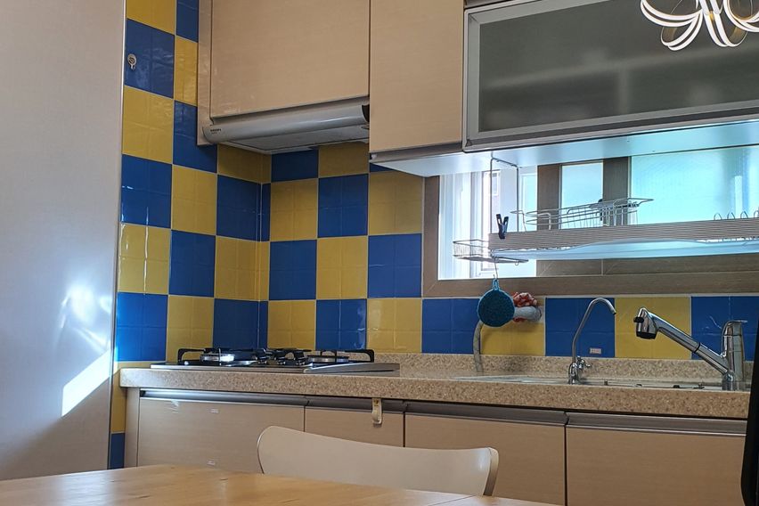 대구 이월드,가톨릭의대