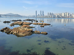 Gwangalli Fully Furnished New Construction 19th image