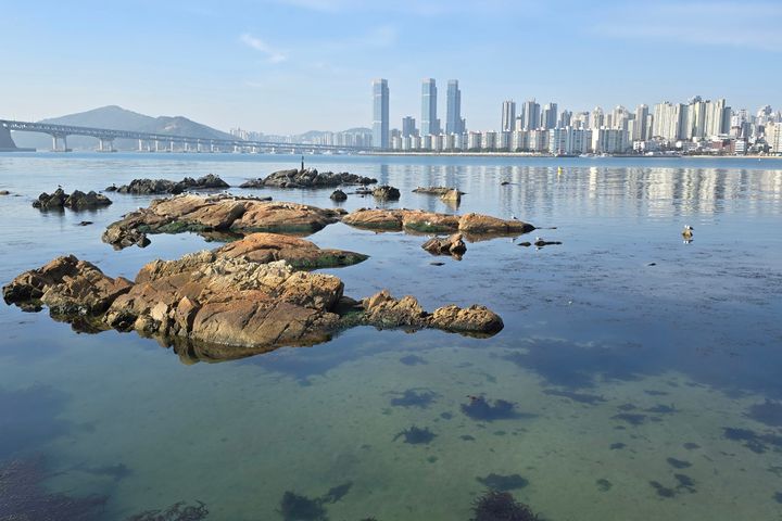 광안리 풀옵션 신축 19번째 이미지