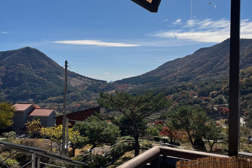 수만리 들국화마을 안