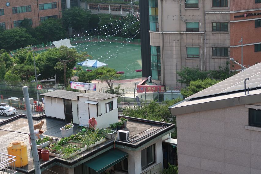 복층나무|반려동반 15번째 이미지