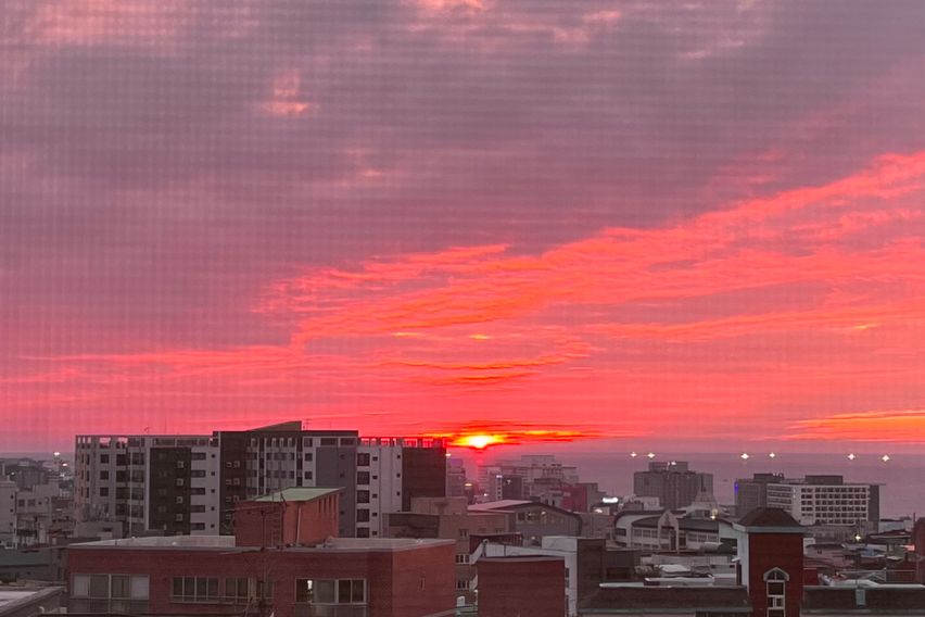 단독룸 풀옵션 여성전용