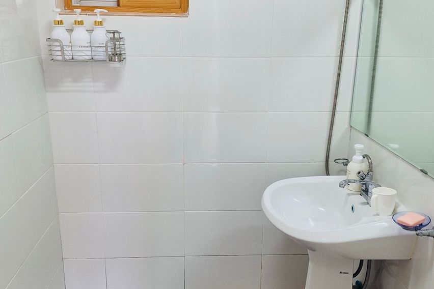 청산도 락 한옥 대나무