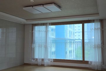 만덕 백양디이스트