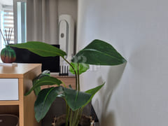 Apartment located right next to Hwajeong Stat 3th image