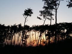 바로빌리지 (복층형) 11번째 이미지
