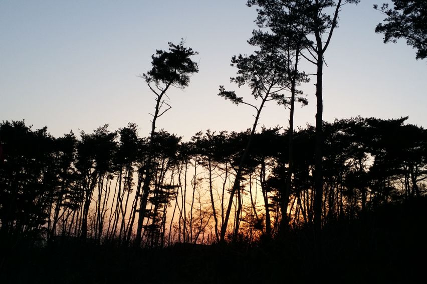 바로빌리지 (복층형) 11번째 이미지