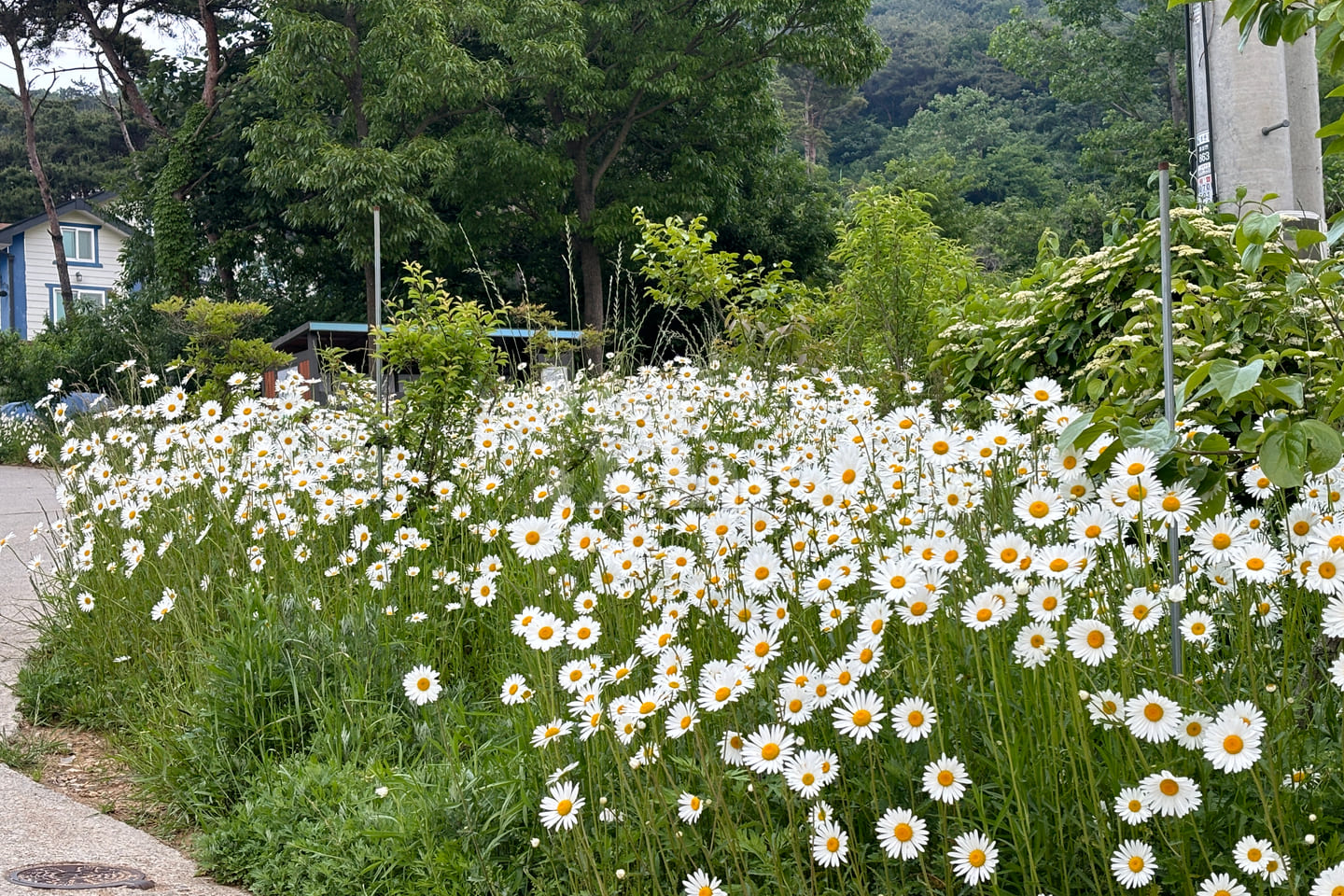 홍성 노을예쁜 전원주택 19번째 이미지