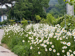 홍성 노을예쁜 전원주택 19번째 이미지