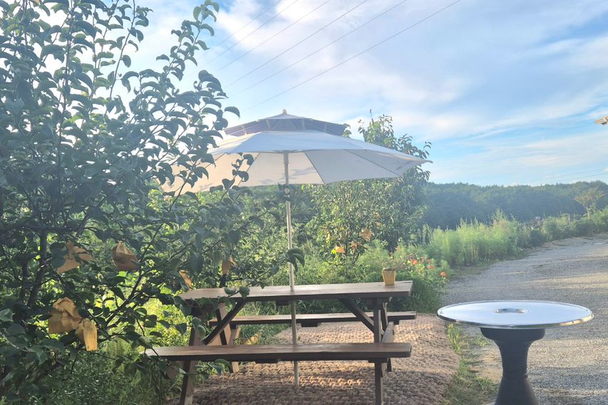 40평독채애견동반촌캉스