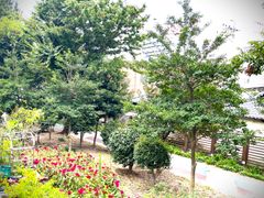 Forest View/Private House/Old House Charm 2th image