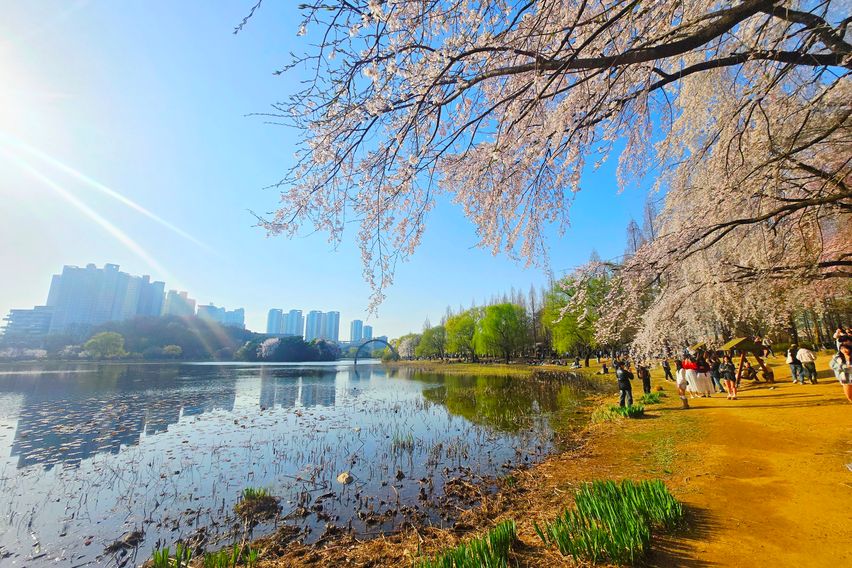 오픈특가💙깔끔복층N8 13번째 이미지