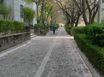 강남 4번째 이미지