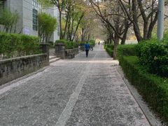 강남 4번째 이미지