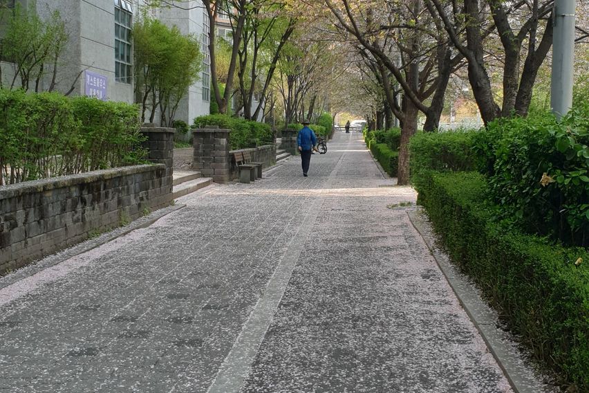 강남 4번째 이미지