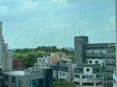 당산역2,9호선홍대강남 0번째 이미지