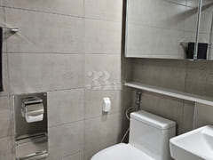 Sodam 313 12th image