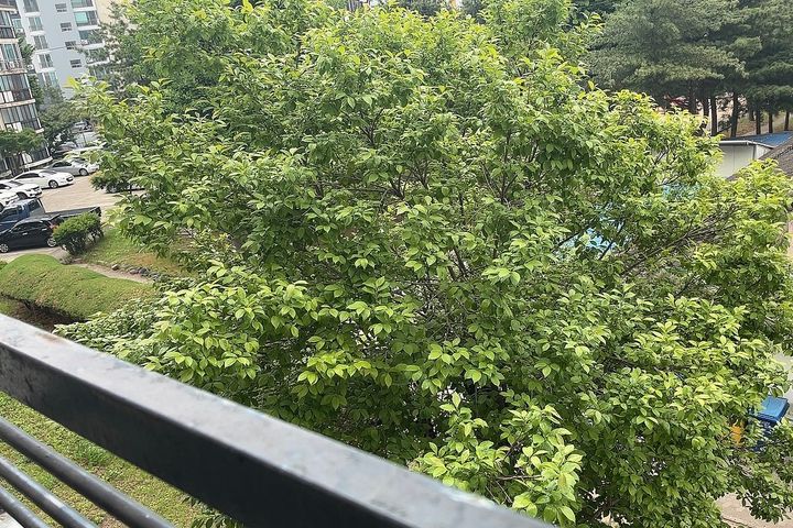 황성동핫플💓아늑한투룸 14번째 이미지