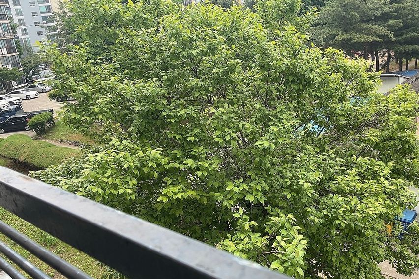 황성동핫플💓아늑한투룸 14번째 이미지