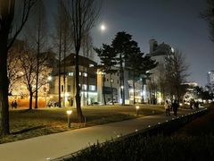 마포/홍대/연남 복층🪴 16번째 이미지