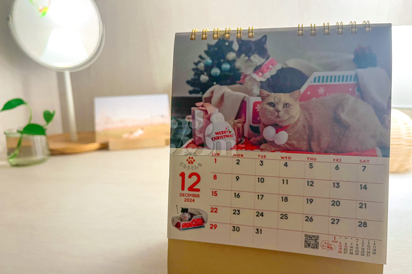 Additional discount: Nov. 13–24 6th image
